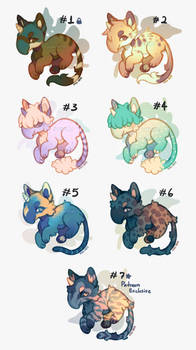 Mini Catapi Adopts - OPEN 1/7