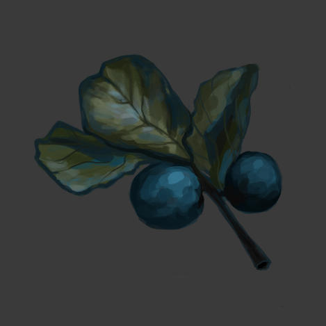 Turquoise Berry Turquoise berry by Moriha598080 on DeviantArt