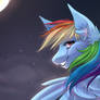 Rainbow Dash