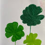 Clovers
