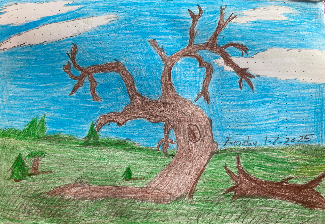 The Rotting Tree by smashleylynn on DeviantArt