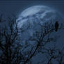 The Crow