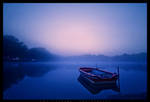 Silent by Crossie