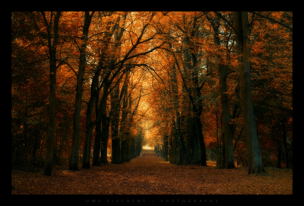 Chestnut avenue