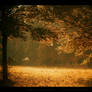 The Clearing