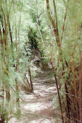 trail 2