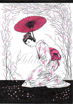 Spring: Cherry Blossom Geisha Dance