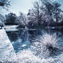 IR_Autumn