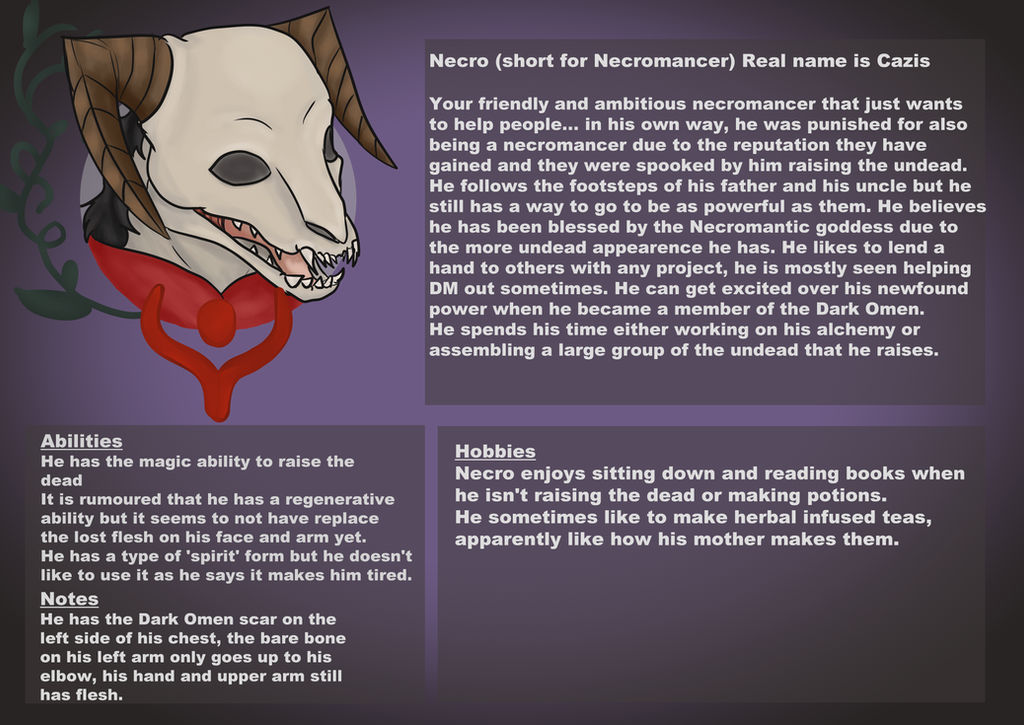 Necro character info profile