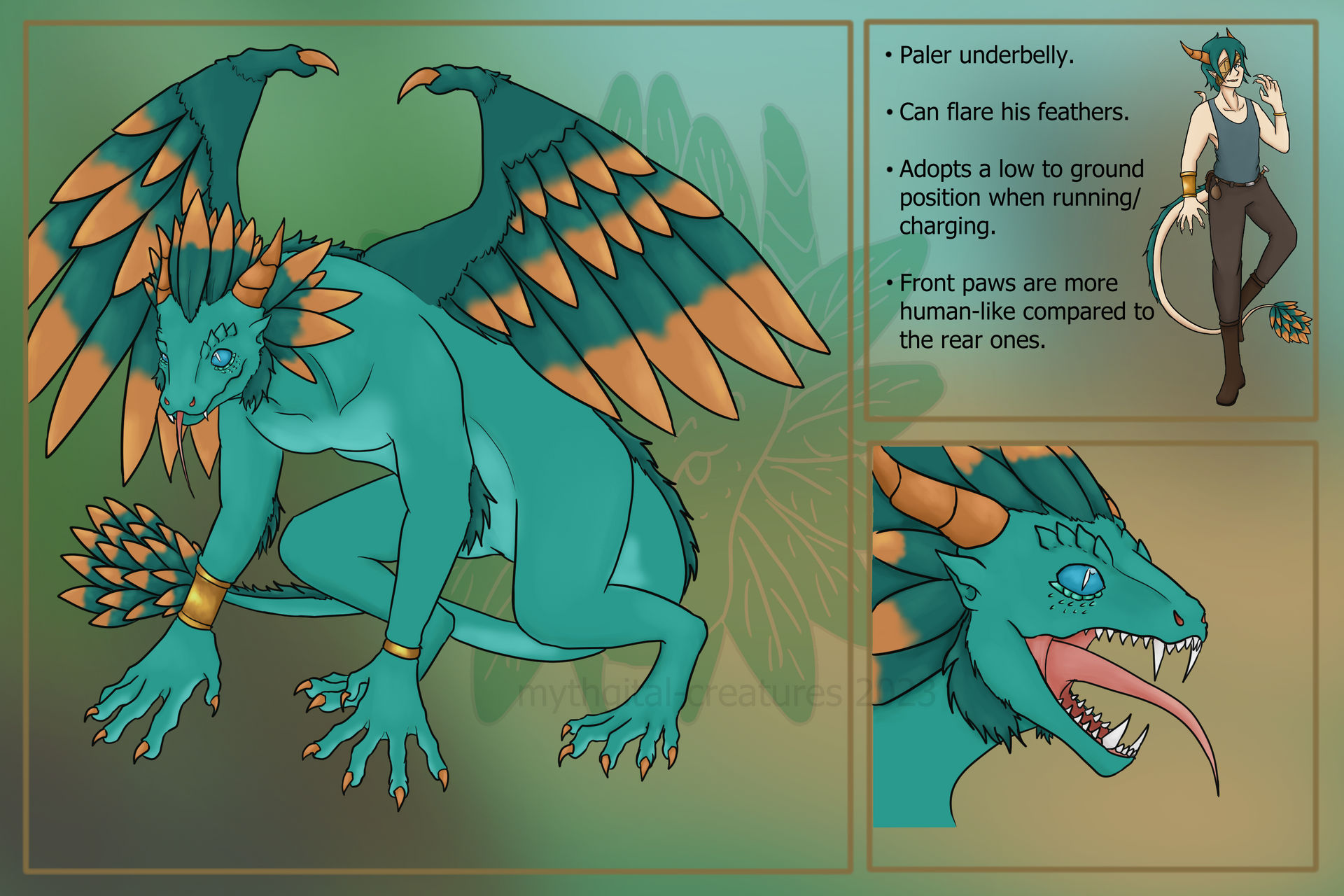 Zanin's Dragon form reference 2023
