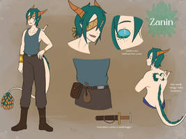 Zanin reference 2024