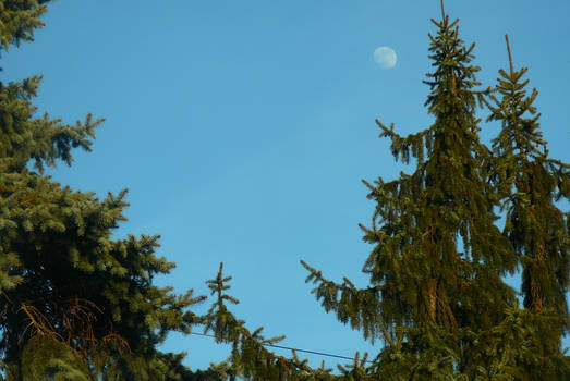 Daytime Moon