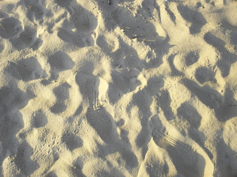Sand Traces