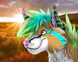 .: A little bit of Sunshine:.