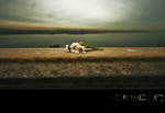 For Loretta by Hermetic-Wings