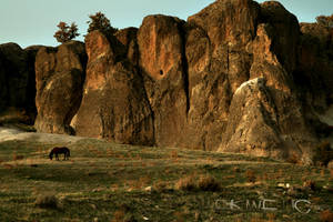 Land of the beutifull horses