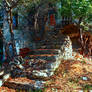 Light and Shadows of an Forgotton Autumn Day