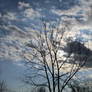 Thick Clouds of Winter