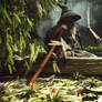 LOTR: Gandalf in The Wild Vol01