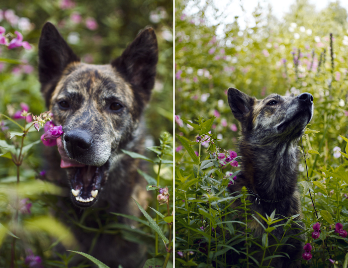 Flower boy.