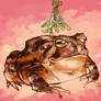 mistletoad