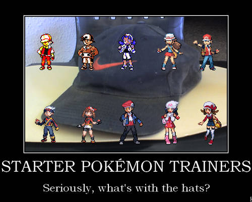 Trainer Requirements?