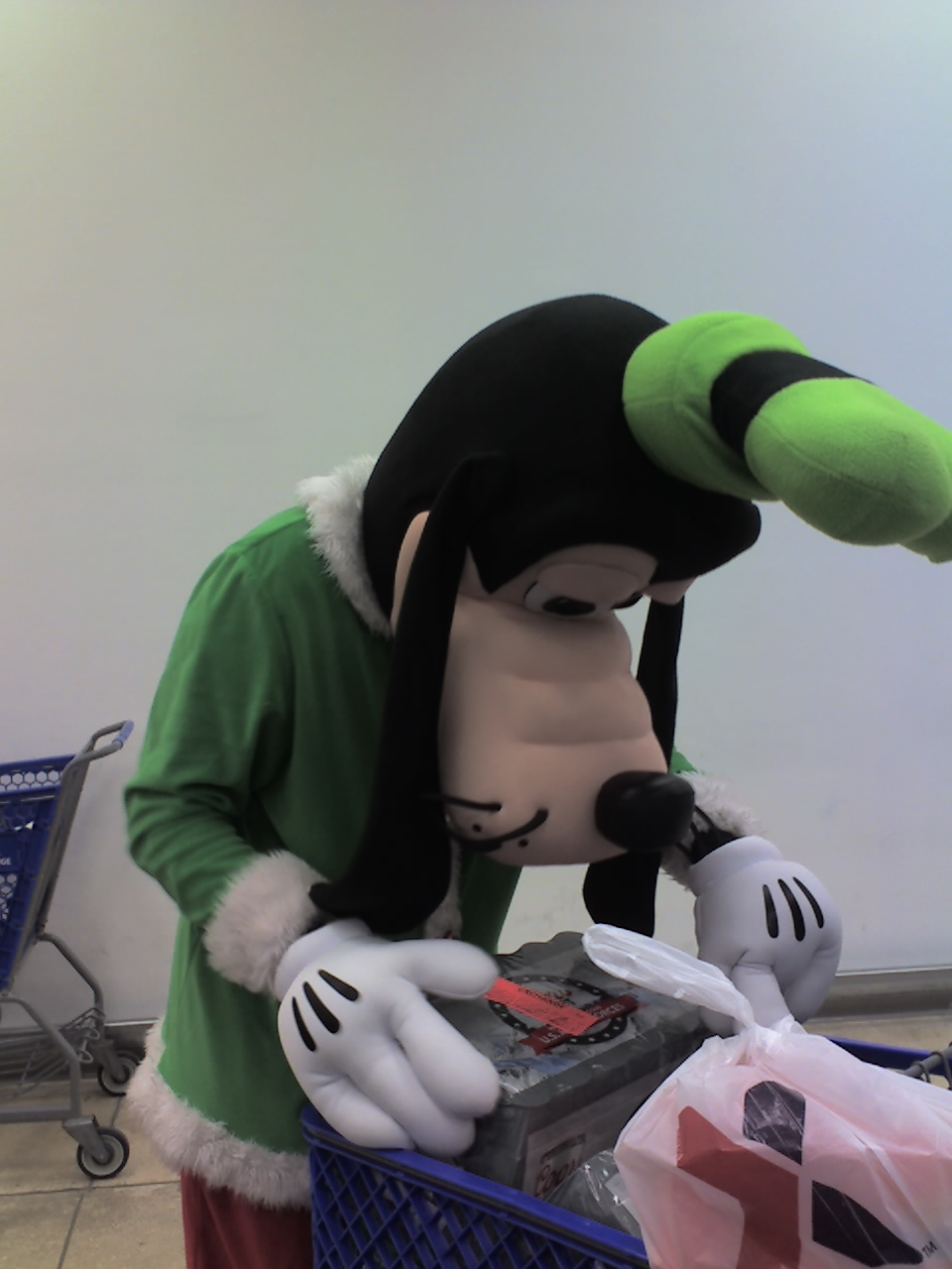 Goofy helping out