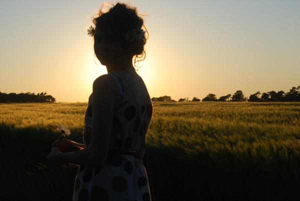 Fields Of Gold.