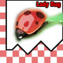 Lady Bug