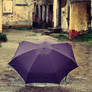 purple umbrella