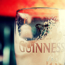 guess what: guinness
