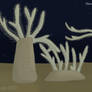 Stone Corals - 100MY