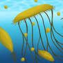 Discuphytes!!