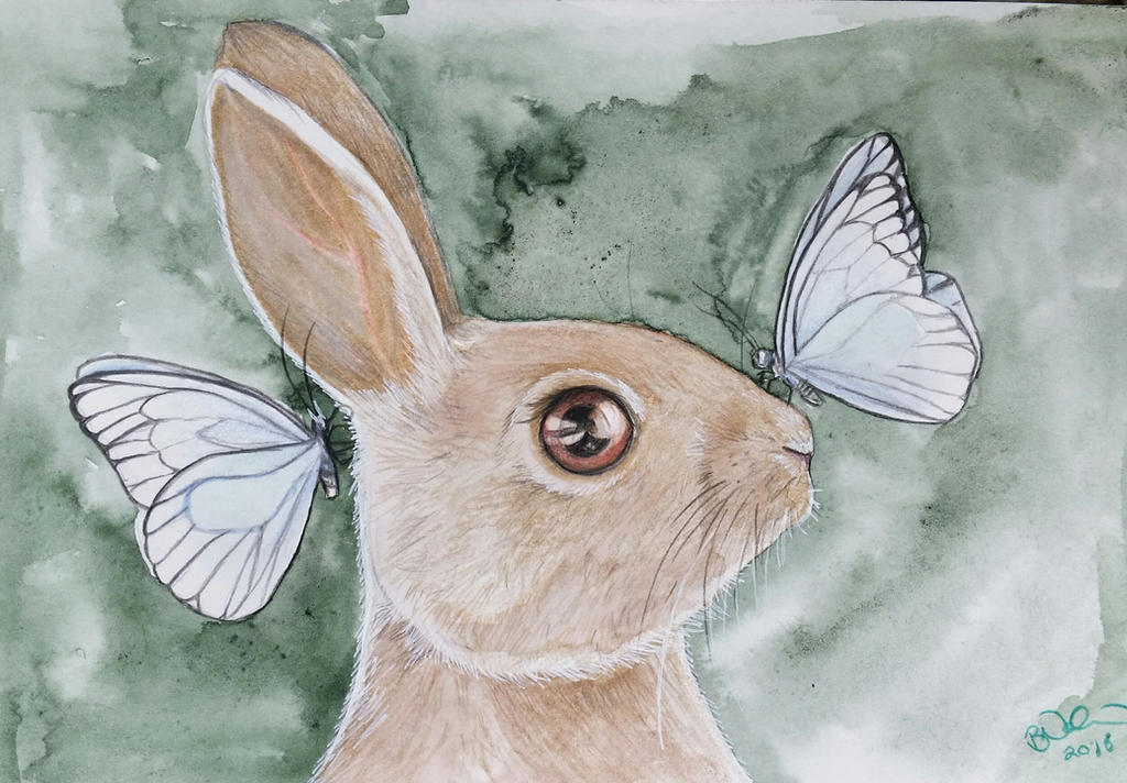 Deviantart Thumper Rabbit Thumper by brooklynn-ash on DeviantArt