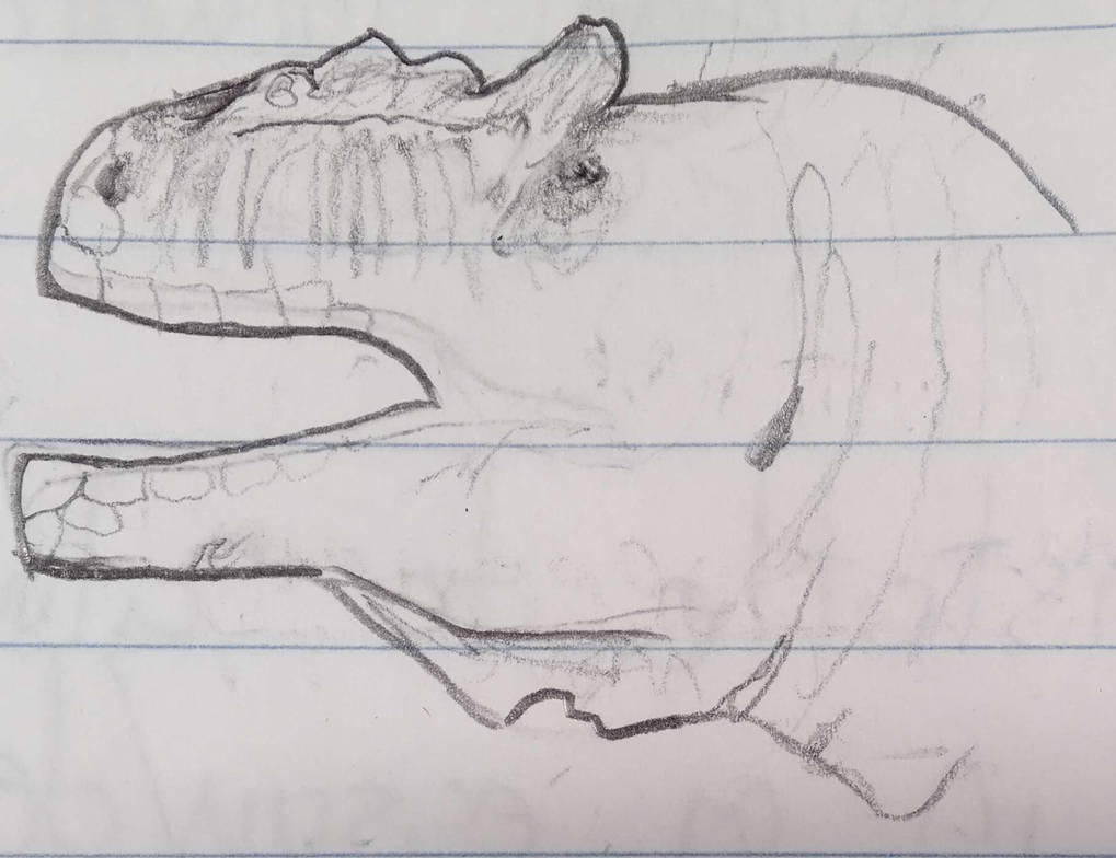 Allosaurus Head By SpiderNoob64 On DeviantArt