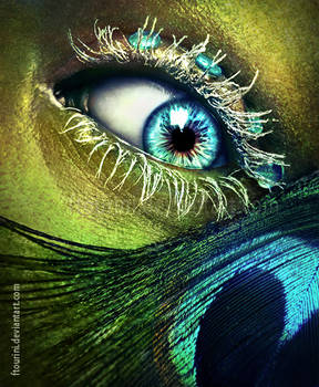 Peacock eye in love