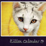 kitten calendar 2013