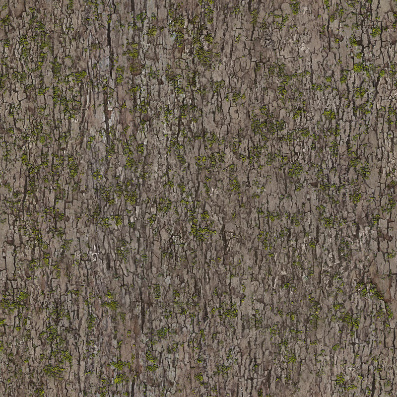 tileable texture mossy tree by ftourini on DeviantArt