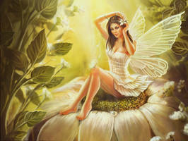 pin up fairy wallpaper