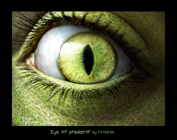 eye of a predator by ftourini