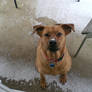 First snow