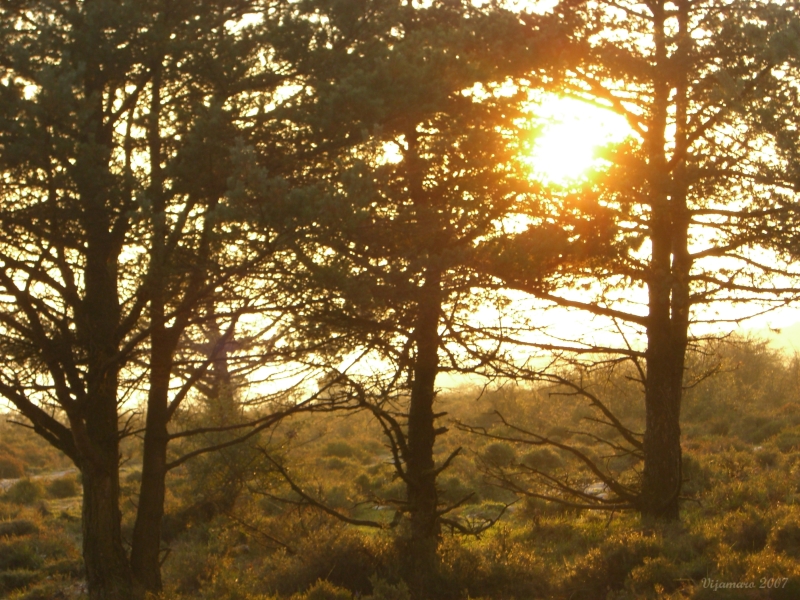 Atardecer de otono en el monte