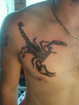 scorpion tattoo