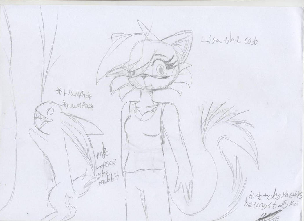 Lisa The cat by DragonPuppy02 on DeviantArt