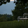 A Bench