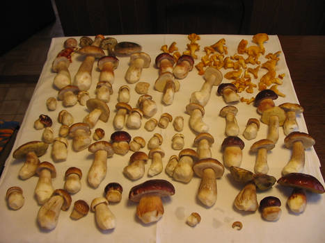 Mushroomz