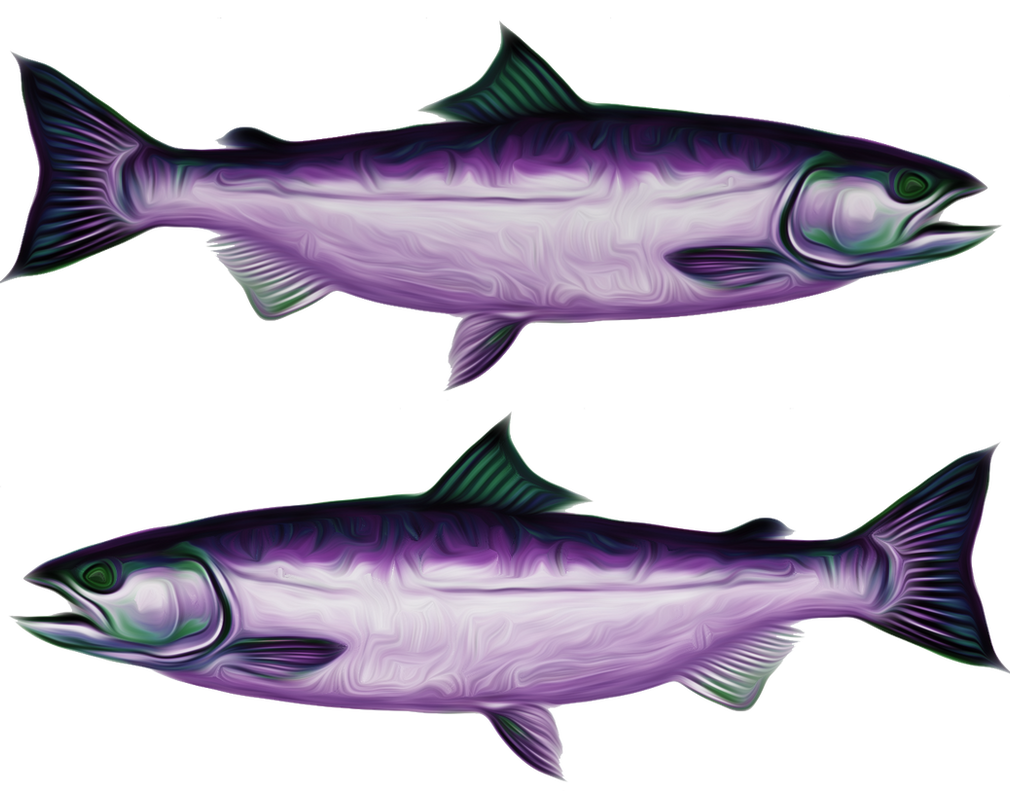 Painted Fish Texture by Wildjaeger on DeviantArt