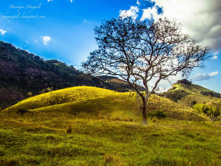 Alone in the green