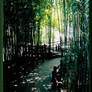 Bamboo Path