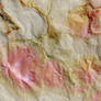 Stained Paper 2